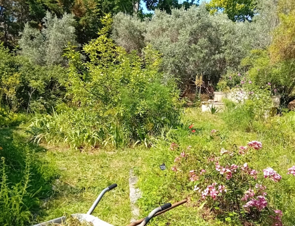 JARDIN SHA SITE.jpg