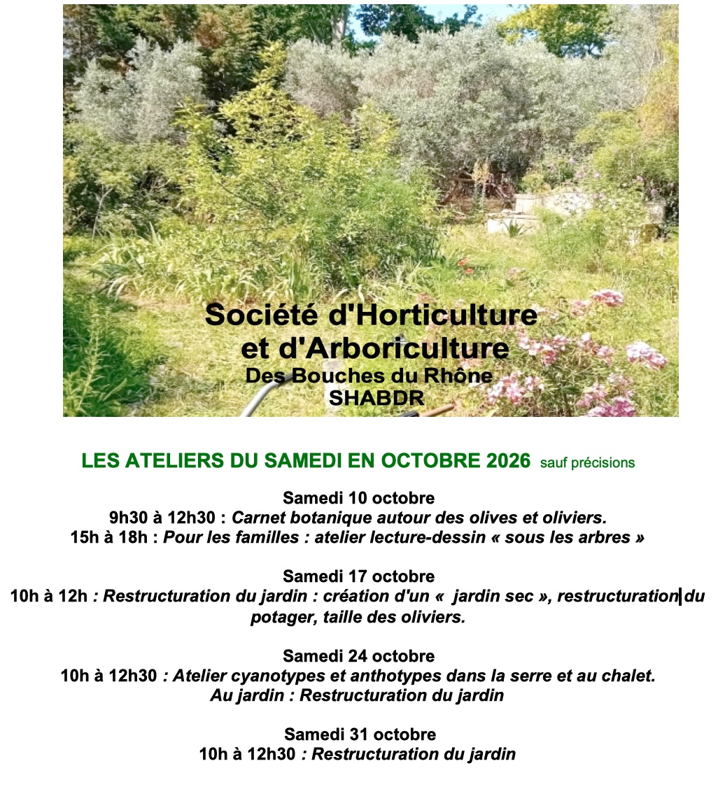 ATELIERS OCTOBRE 26.jpg